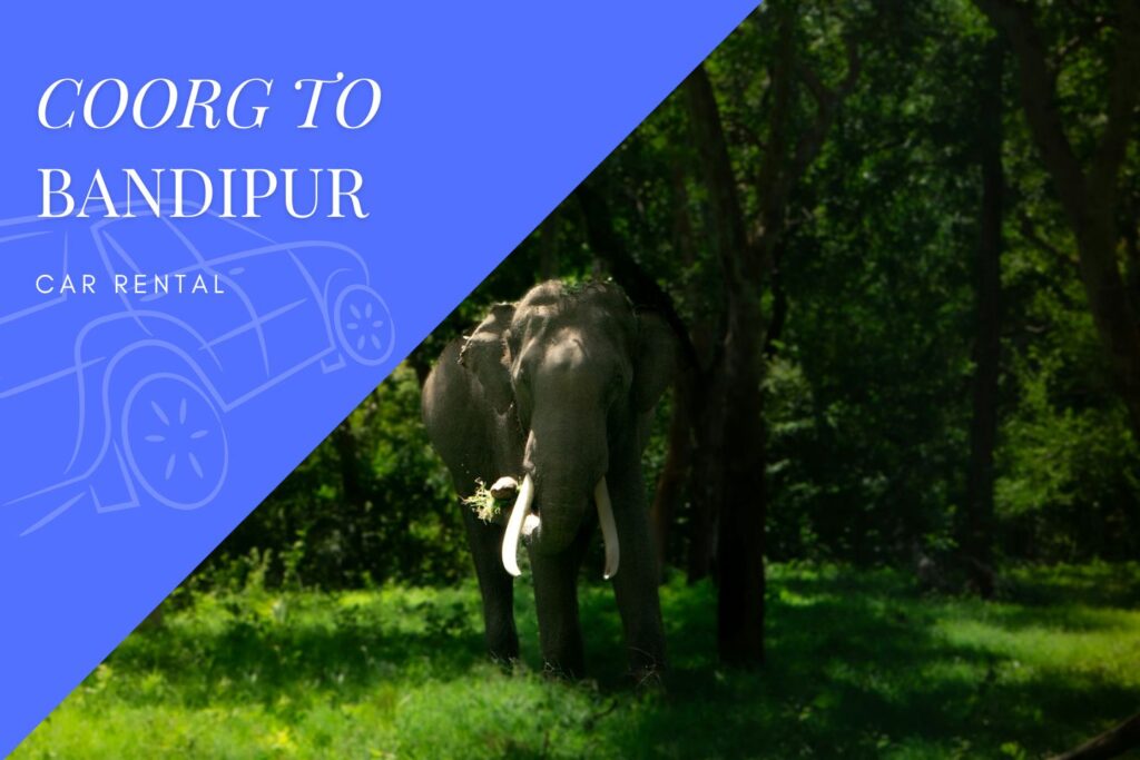 Coorg/ Madikeri to Bandipur Car Rental Service