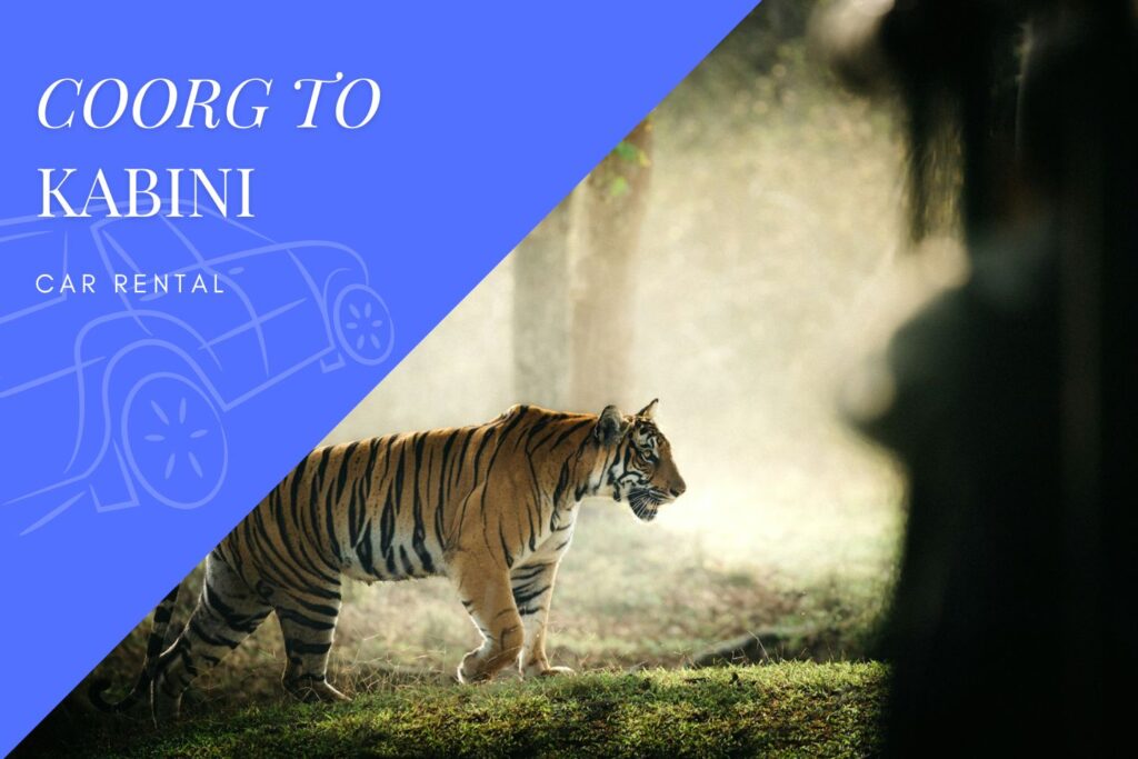 Coorg/ Madikeri to Kabini Car Rental Service